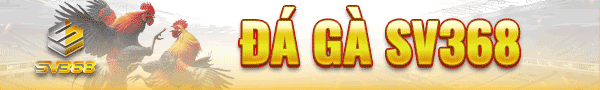 SV368 nhà cái đá gà trực tiếp Thomo Campuchia